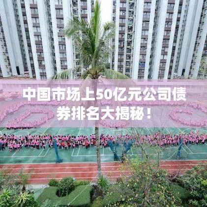 中國(guó)市場(chǎng)上50億元公司債券排名大揭秘！