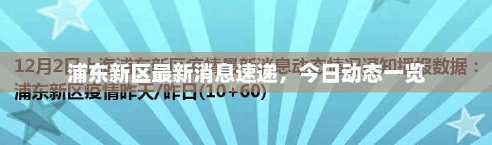 浦東新區(qū)最新消息速遞，今日動(dòng)態(tài)一覽