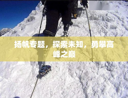 揚(yáng)帆專題，探索未知，勇攀高峰之巔