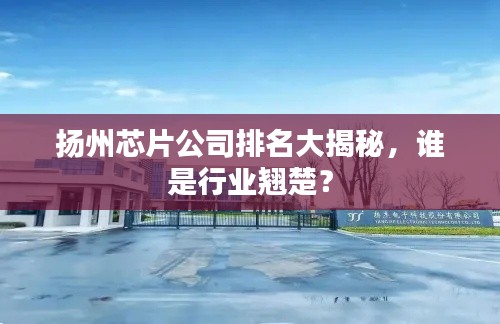 揚州芯片公司排名大揭秘，誰是行業(yè)翹楚？