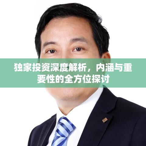 獨(dú)家投資深度解析，內(nèi)涵與重要性的全方位探討