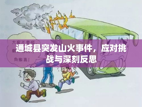 通城縣突發(fā)山火事件，應(yīng)對(duì)挑戰(zhàn)與深刻反思