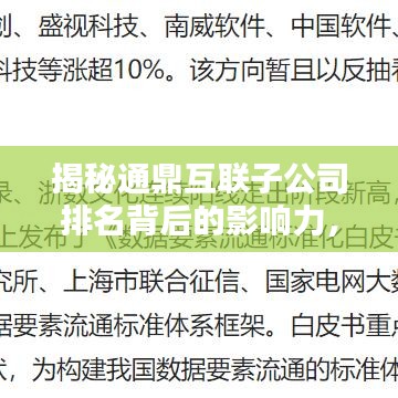 揭秘通鼎互聯(lián)子公司排名背后的影響力，行業(yè)地位深度解析