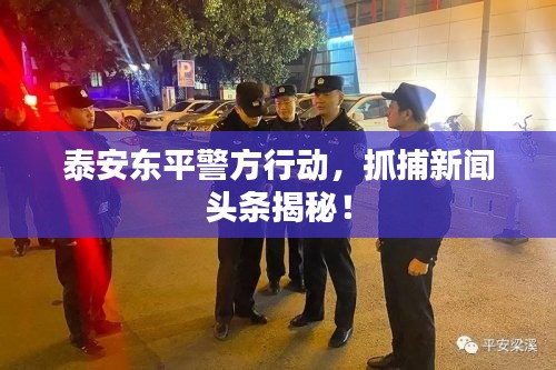 泰安東平警方行動(dòng)，抓捕新聞?lì)^條揭秘！