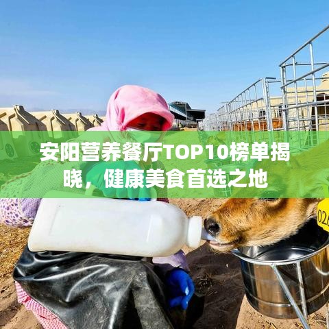 安陽營(yíng)養(yǎng)餐廳TOP10榜單揭曉，健康美食首選之地