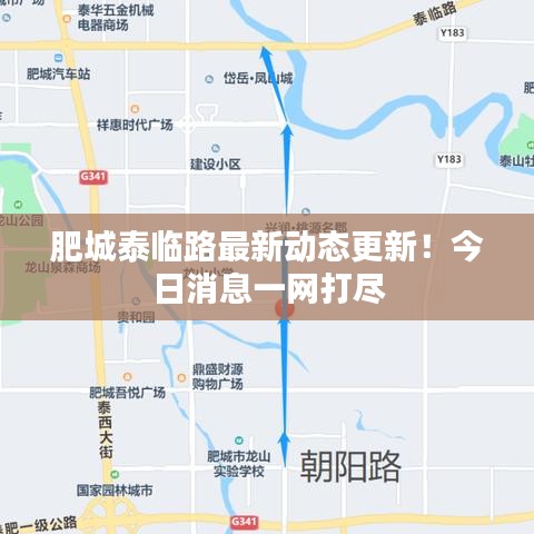 肥城泰臨路最新動態(tài)更新！今日消息一網(wǎng)打盡