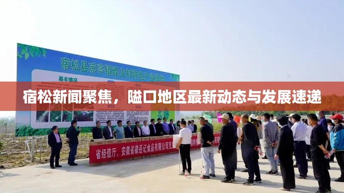 宿松新聞聚焦，隘口地區(qū)最新動(dòng)態(tài)與發(fā)展速遞