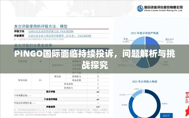 PINGO國際面臨持續(xù)投訴，問題解析與挑戰(zhàn)探究