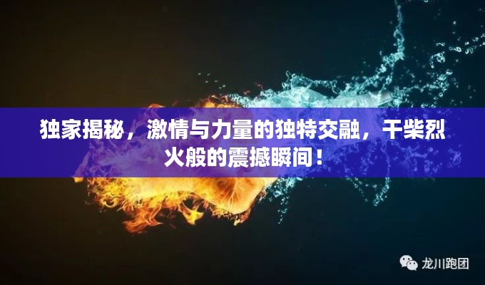 獨家揭秘，激情與力量的獨特交融，干柴烈火般的震撼瞬間！