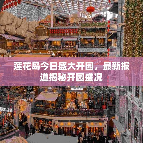蓮花島今日盛大開園，最新報道揭秘開園盛況