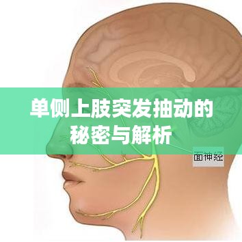 單側(cè)上肢突發(fā)抽動的秘密與解析