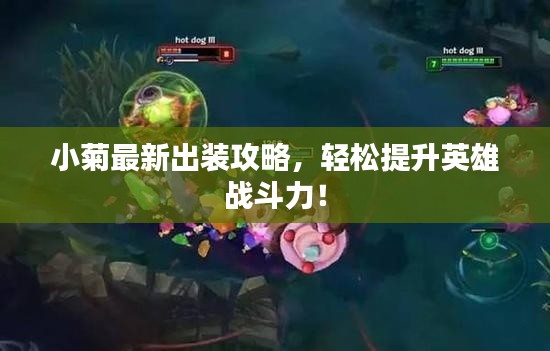 小菊最新出裝攻略，輕松提升英雄戰(zhàn)斗力！