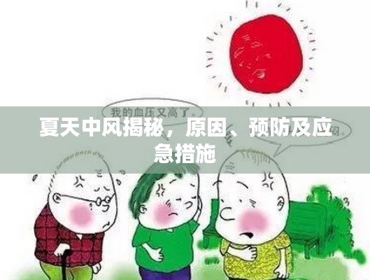 夏天中風(fēng)揭秘，原因、預(yù)防及應(yīng)急措施