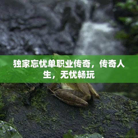 獨(dú)家忘憂單職業(yè)傳奇，傳奇人生，無憂暢玩