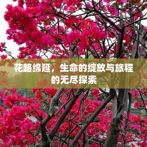 花路綿延，生命的綻放與旅程的無(wú)盡探索