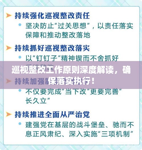 巡視整改工作原則深度解讀，確保落實(shí)執(zhí)行！