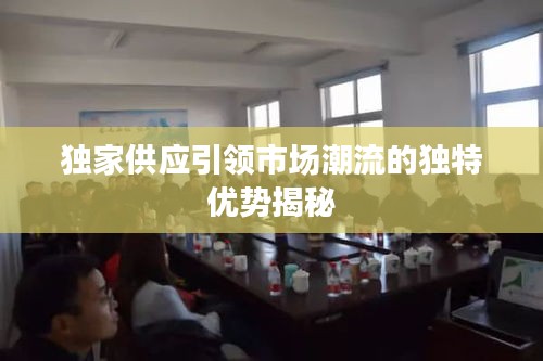 獨(dú)家供應(yīng)引領(lǐng)市場潮流的獨(dú)特優(yōu)勢揭秘