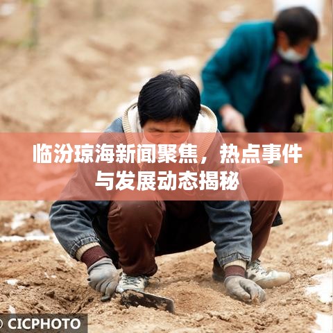 臨汾瓊海新聞聚焦，熱點(diǎn)事件與發(fā)展動(dòng)態(tài)揭秘