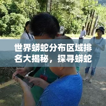 世界蟒蛇分布區(qū)域排名大揭秘，探尋蟒蛇棲息地的奧秘