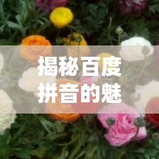 揭秘百度拼音的魅力，一鍵探索全面精準(zhǔn)的拼音查詢
