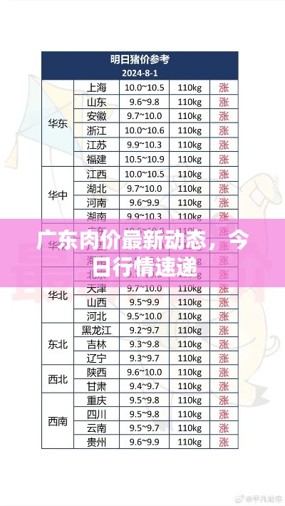 廣東肉價(jià)最新動(dòng)態(tài)，今日行情速遞