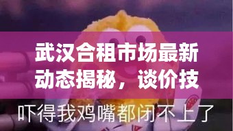 武漢合租市場最新動態(tài)揭秘，談價技巧與租房攻略分享