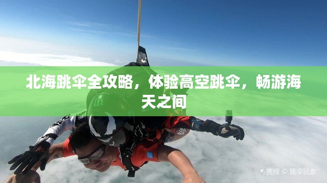 北海跳傘全攻略，體驗(yàn)高空跳傘，暢游海天之間