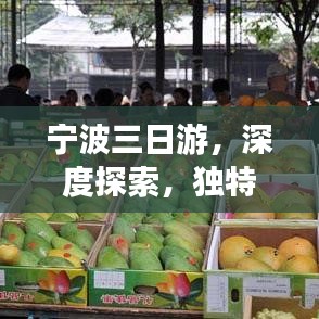 寧波三日游，深度探索，獨特體驗之旅