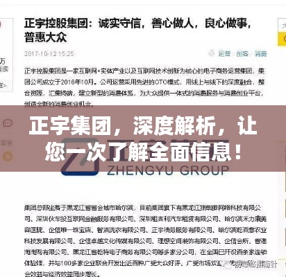正宇集團，深度解析，讓您一次了解全面信息！