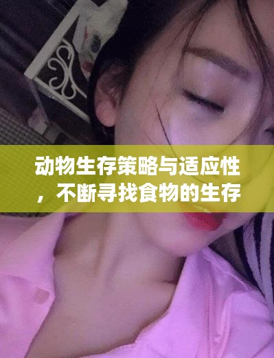 動(dòng)物生存策略與適應(yīng)性，不斷尋找食物的生存之道