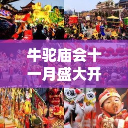 牛駝廟會十一月盛大開放，最新消息揭秘活動安排