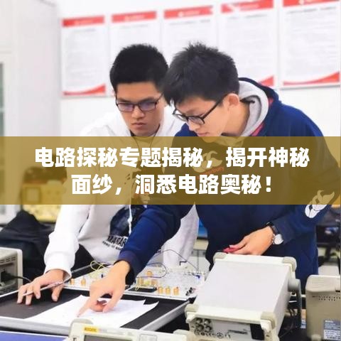 電路探秘專題揭秘，揭開神秘面紗，洞悉電路奧秘！