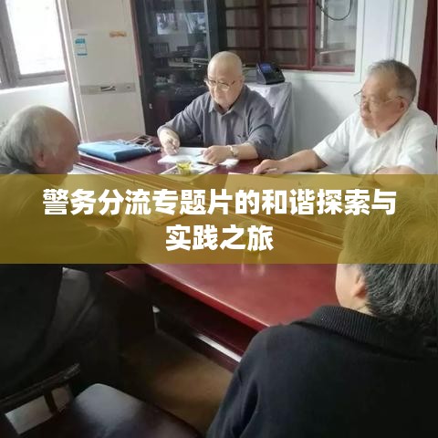 警務(wù)分流專題片的和諧探索與實(shí)踐之旅