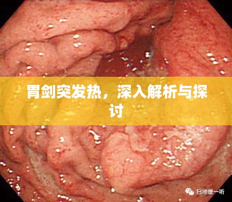 胃劍突發(fā)熱，深入解析與探討