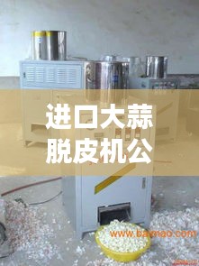 進(jìn)口大蒜脫皮機(jī)公司排行榜揭曉，權(quán)威排名一網(wǎng)打盡！