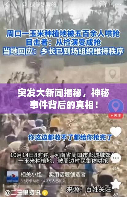 突發(fā)大新聞揭秘，神秘事件背后的真相！