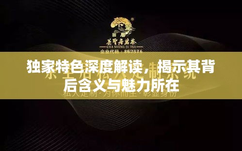 獨家特色深度解讀，揭示其背后含義與魅力所在