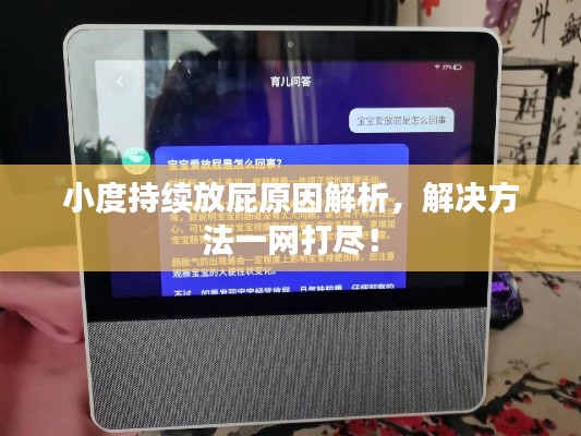 小度持續(xù)放屁原因解析，解決方法一網(wǎng)打盡！