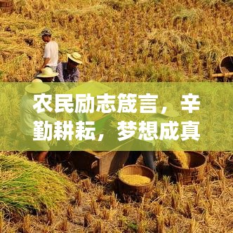 農(nóng)民勵(lì)志箴言，辛勤耕耘，夢(mèng)想成真時(shí)刻