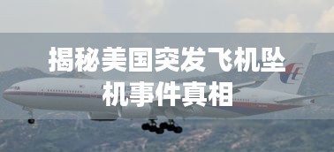 揭秘美國突發(fā)飛機墜機事件真相