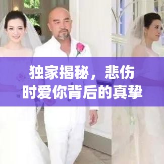 獨家揭秘，悲傷時愛你背后的真摯情感故事