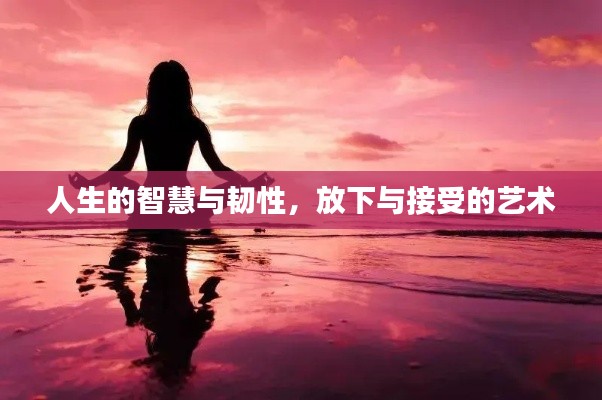 人生的智慧與韌性，放下與接受的藝術