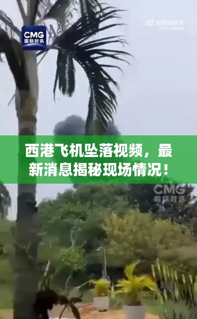 西港飛機(jī)墜落視頻，最新消息揭秘現(xiàn)場(chǎng)情況！