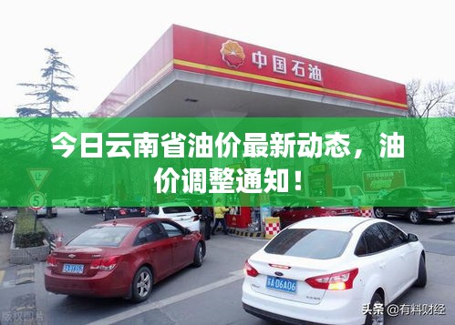 今日云南省油價最新動態(tài)，油價調(diào)整通知！