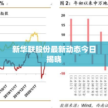 新華聯(lián)股份最新動(dòng)態(tài)今日揭曉
