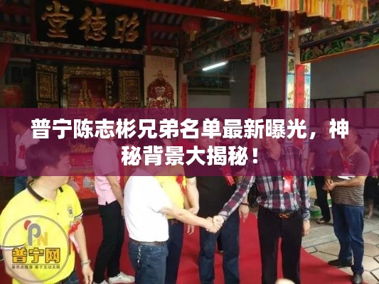 普寧陳志彬兄弟名單最新曝光，神秘背景大揭秘！