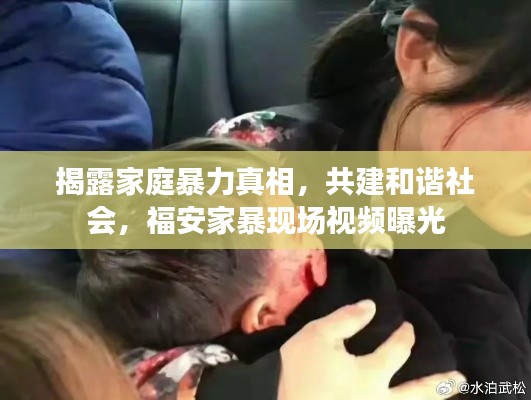 揭露家庭暴力真相，共建和諧社會(huì)，福安家暴現(xiàn)場(chǎng)視頻曝光