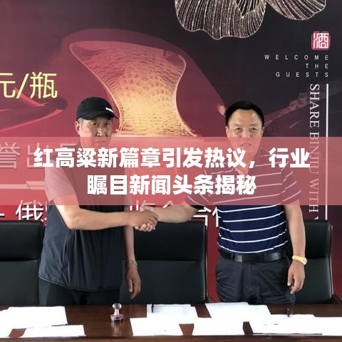 紅高粱新篇章引發(fā)熱議，行業(yè)矚目新聞頭條揭秘