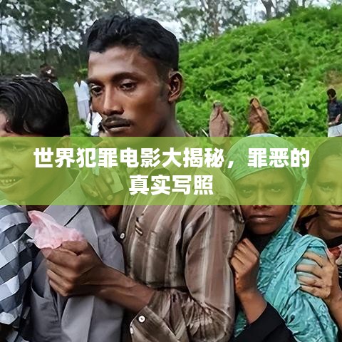 世界犯罪電影大揭秘，罪惡的真實(shí)寫(xiě)照