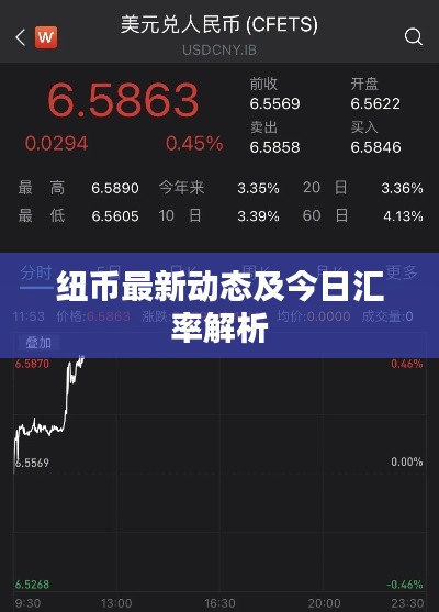 紐幣最新動(dòng)態(tài)及今日匯率解析